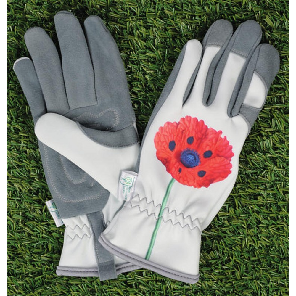 Rhs Glove Chelsea Waterperry Gardens Oxfordshire Garden Centre, Buy Plants Online, Gardening